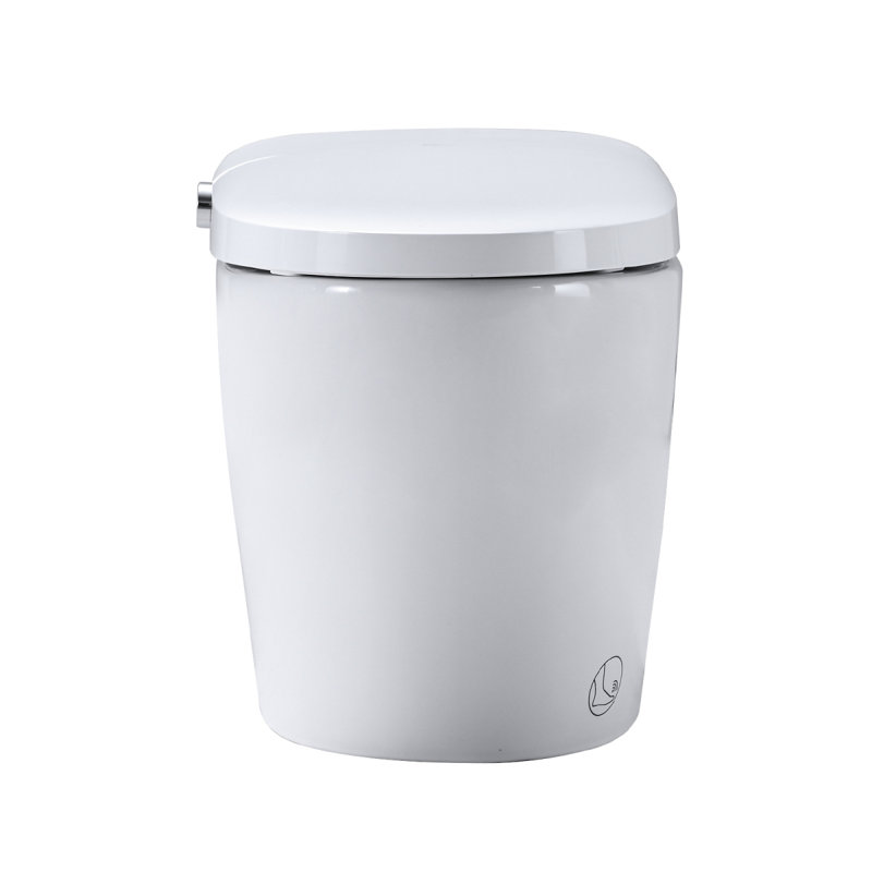 Combinaison de bidet de toilette intelligente avec buse autonettoyante, siège chauffant, veilleuse, commande à bouton, chasse d'eau en cas de panne de courant, fermeture en douceur, chasse automatique, avec télécommande