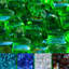 Verre carré réfléchissant pour foyer d'extérieur de forme carrée-63646307-63626485