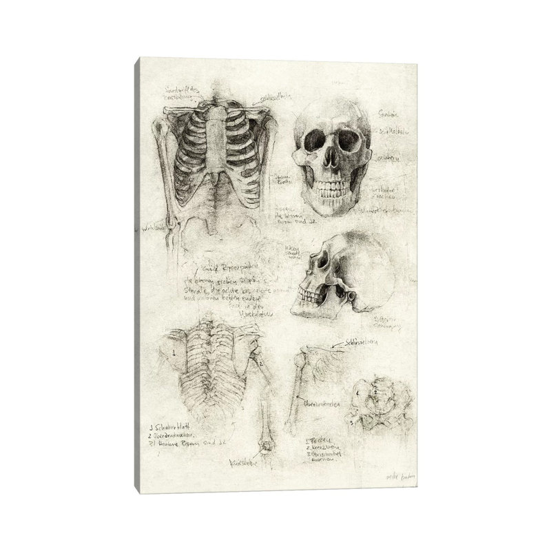 Skeleton by Mike Koubou - Print on Canvas, Wrapped Canvas, 66.04cm H x 45.72cm W x 3.81cm D