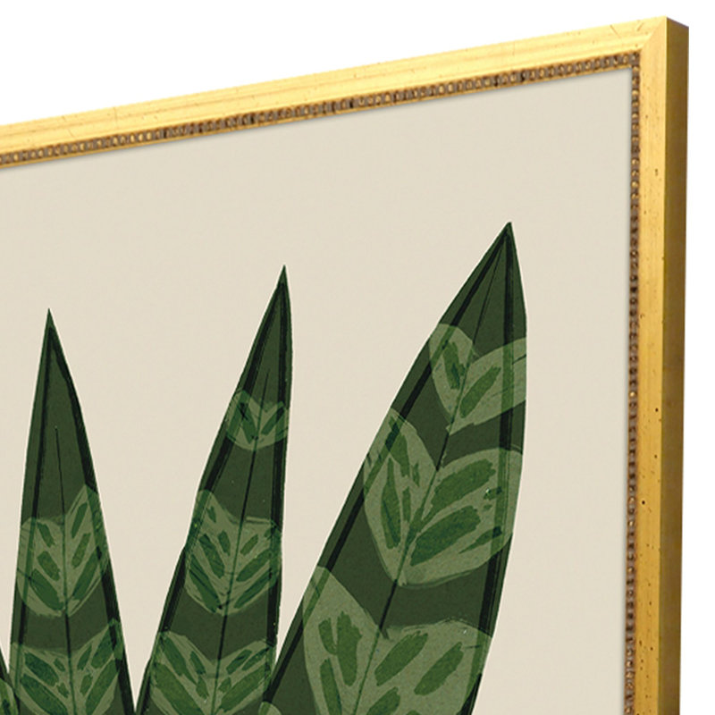 Tropical Abundance Set by Watts