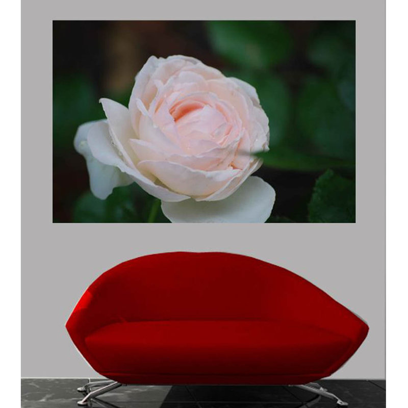 Décalcomanie murale rose, 40 po x 60 po