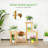 Arvile Plant Stand