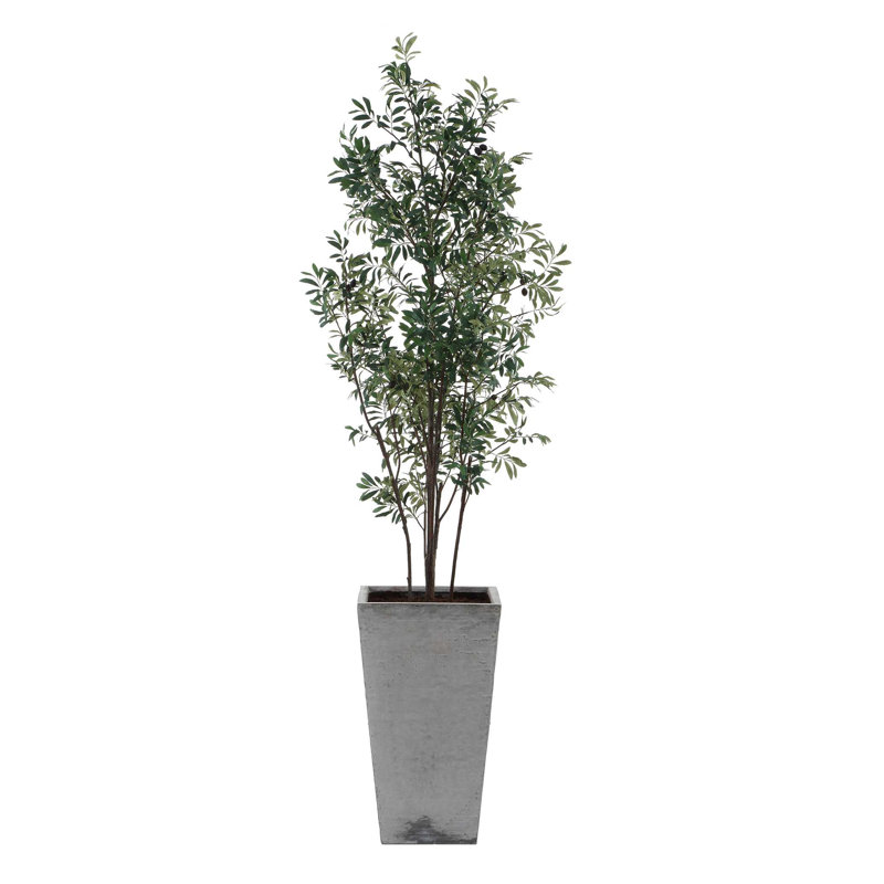 Olive Sonora Uttermost dans un pot à fleurs