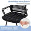 Mesh Conference Chair