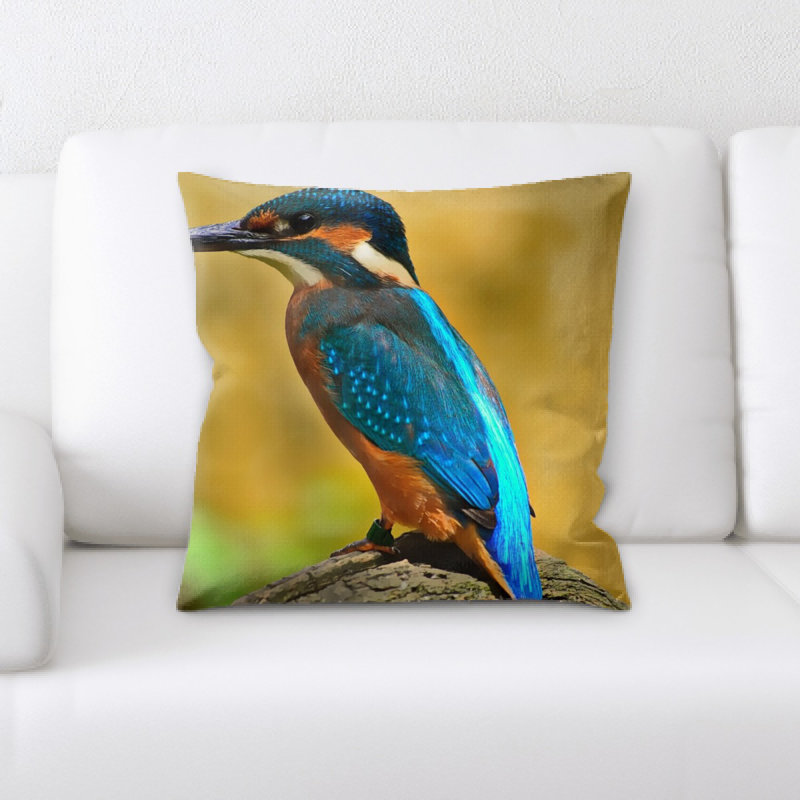 Coussin kingfisher