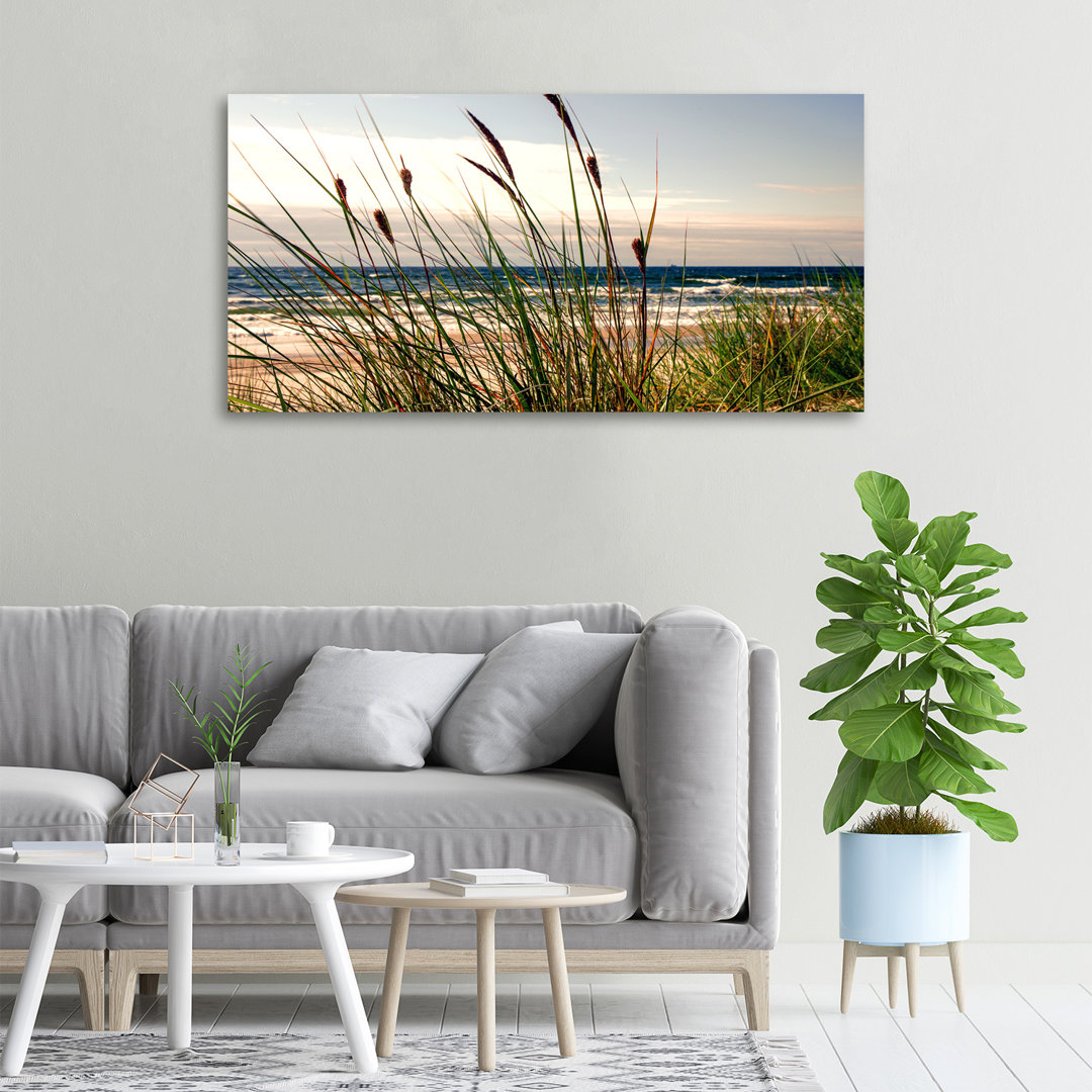 Coastal Dunes - No Frame Print on Canvas