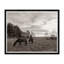 Grazing II Print by Tim Klein