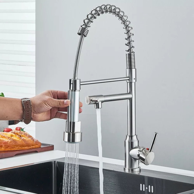 Belfry Kitchen Donnelle Pull Down Kitchen Faucet
