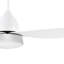 Nagma Ceiling Fan with Light Kit