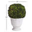 Alby Boxwood Ball Topiary In Pot-119009134