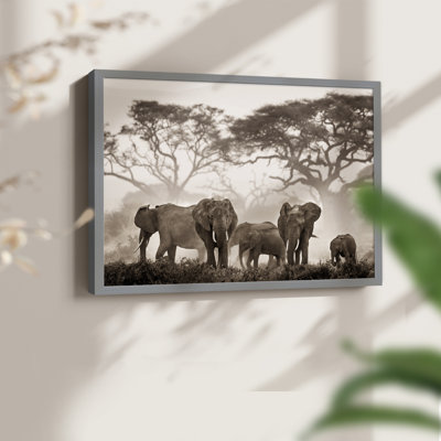 Parc national Amboseli - reproduction encadrée - réarmable