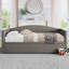 Velvet Daybed with Extended Pop Up Trundle-365189273