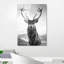 Boze Wall Decor