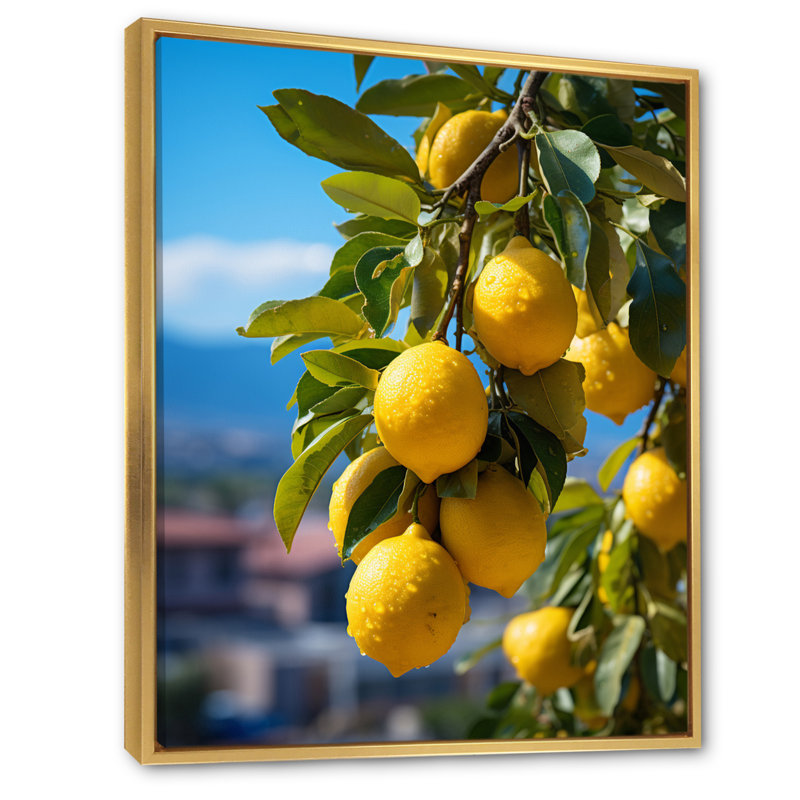 Awalt Italie Sorrento Serenade I sur impression sur toile, H 44 po x l 34 po x P 1,5 po, Cadre flottant doré