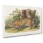 Jaguar by J.W. Audubon - Wrapped Canvas-55363118