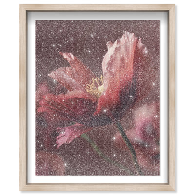 Merlot Blush Blossom II Shadowbox Floral & Botanical Print by Oliver Gal, Black Frame, 16 x 20