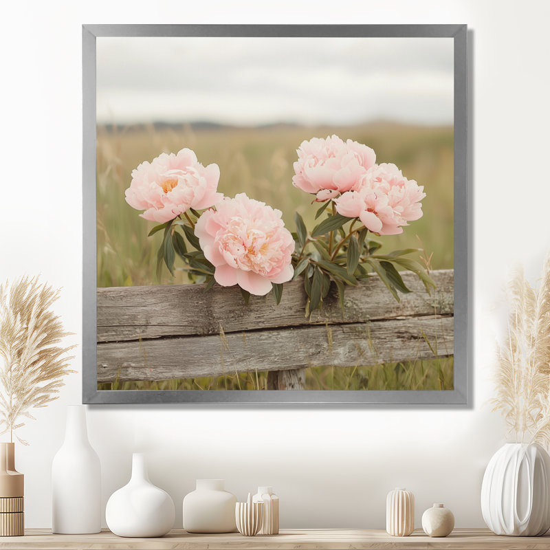 Photo de pivoines dans le cheval Paddock I - pivoines, art mural pour le salon, H 16 po x l 16 po, Argent argent