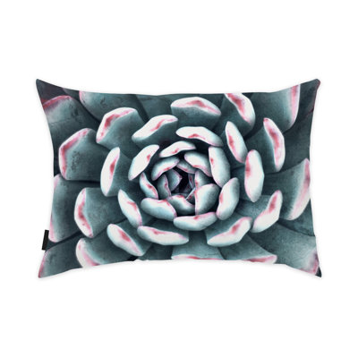 Housse et insert pour coussin Botanicals