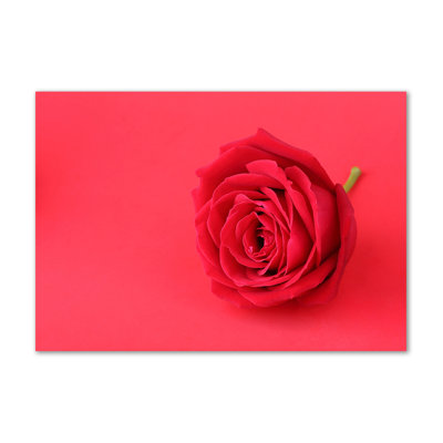 Red Rose - Wrapped Canvas Print