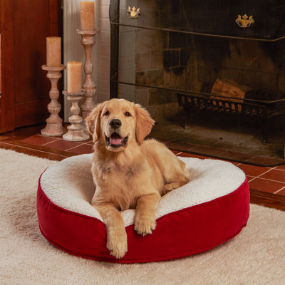 Alyzae Polyester Pet Bed
