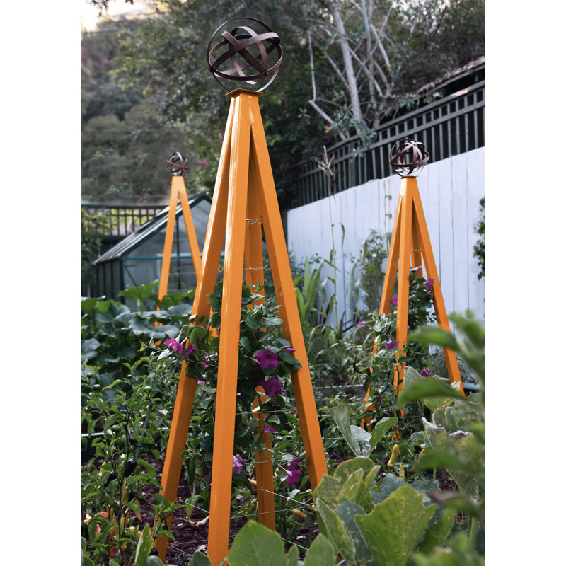 Treillis en acier Ambur, Kumquat, H 53 po x l 18 po x P 18 po