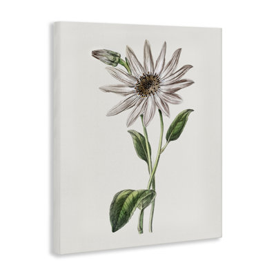 Vintage Mum Sprig Canvas, design by CAD Designs