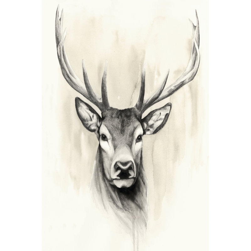 Timberland Animals I by Grace Popp - Wrapped Canvas Print, 46cm H x 30cm W