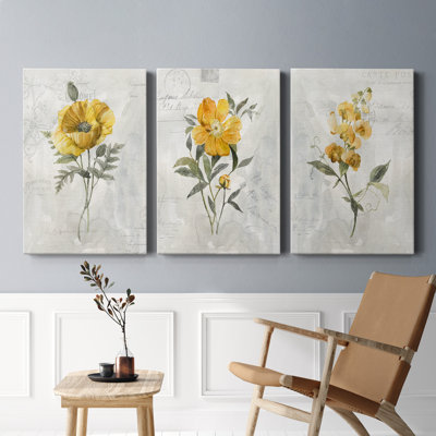 Canari Lin Sweetpea - ensemble de 3 reproductions sur toiles tendues