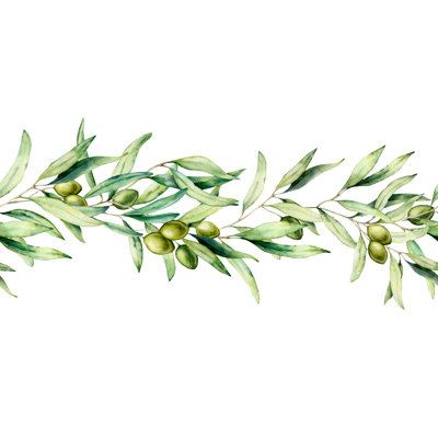 Olive Branch