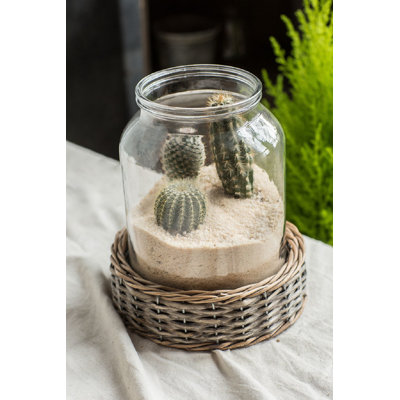 Kamp Terrarium