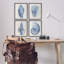 «Blue Seashells on Beige», ensemble de 4 giclées encadrées, design par Susan Arnot-1848988953-1848988954