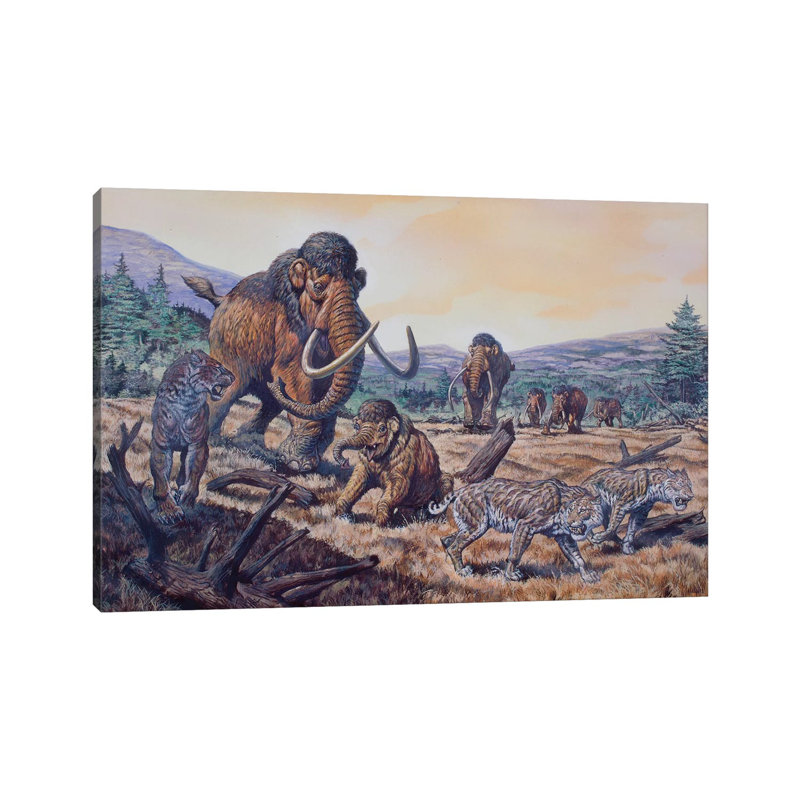 A Herd of Woolly Mammoth and Scimitar Sabertooth, Pleistocene Epoch par Mark Hallett - peinture sur toile tendue