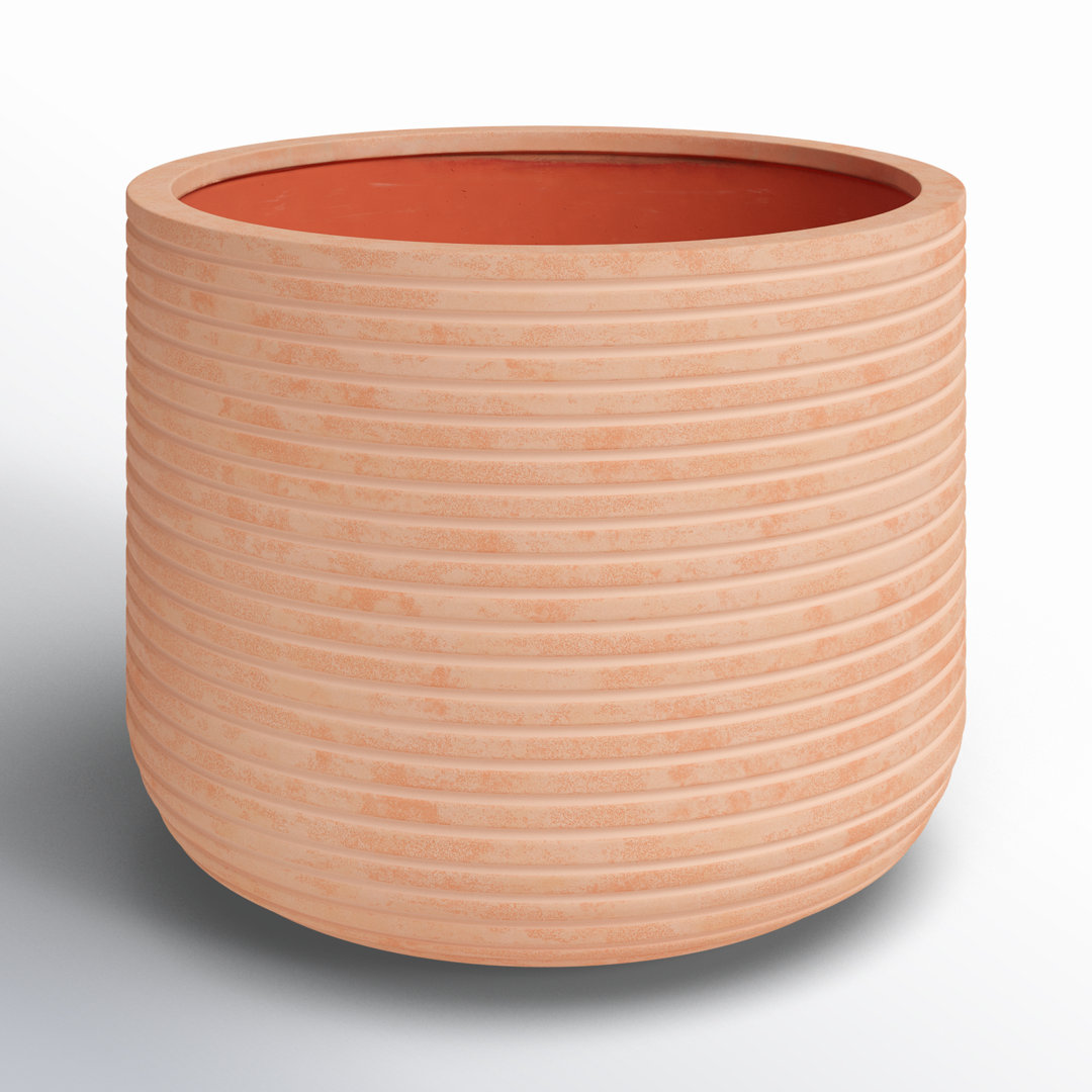 Norah Pot Planter AllModern 