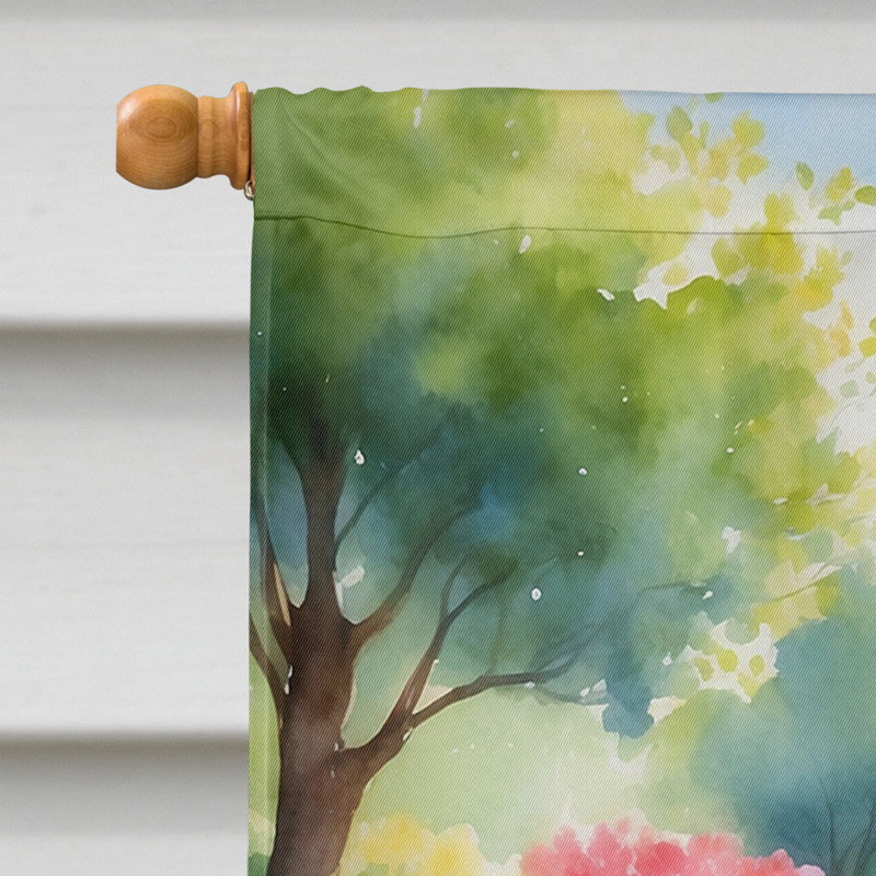 Double Sided 40'' H x 28'' W Polyester House Flag