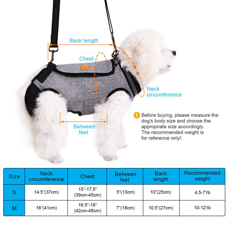 Harnais pour chien