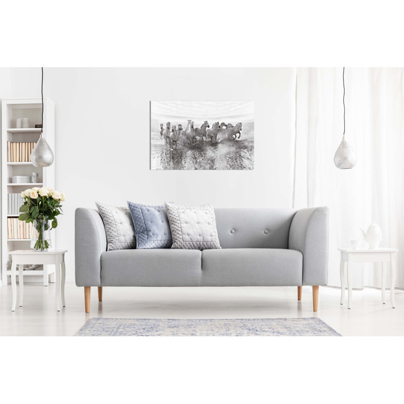 Salsify Flowers - Wrapped Canvas Art Prints, 51cm H x 76cm W