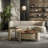 Italian Walnut Coffee Table Set