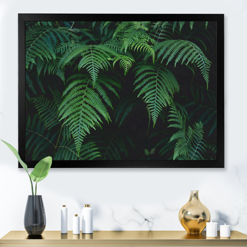 Fougères vert foncé dans la forêt I - photographie sur toile, H 34 po x l 44 po, Cadre noir