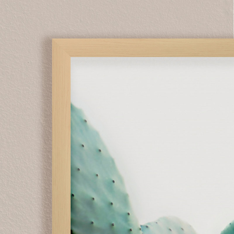 «Nature Inspired Pastel Cactus» par Kathrin Pienaar - ensemble de 3 photos sur papier encadrées, H 24 po x l 36 po