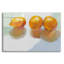 «Meyer Lemons» par Jenny Westenhofer-1220534658
