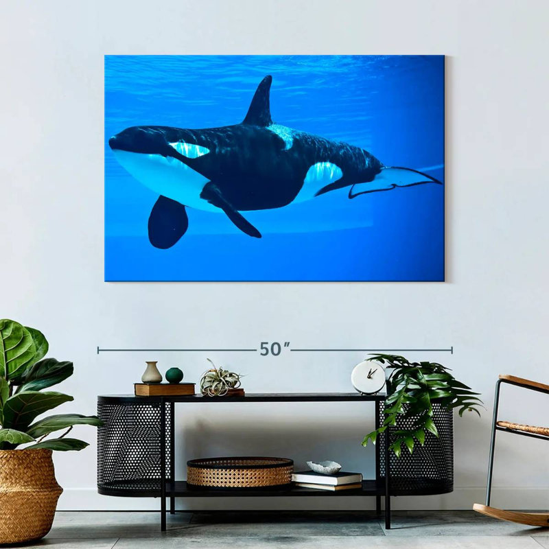 Brampt Friendly Killer Whale, 32" H x 48" W