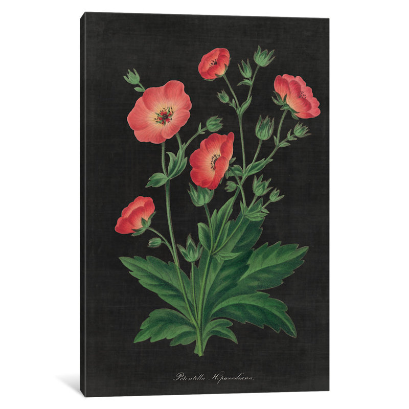 «Botanical Charte», impression sur toile tendue, H 26 po x l 18 po x P 1,5 po, Toile tendue, Pas de tapis