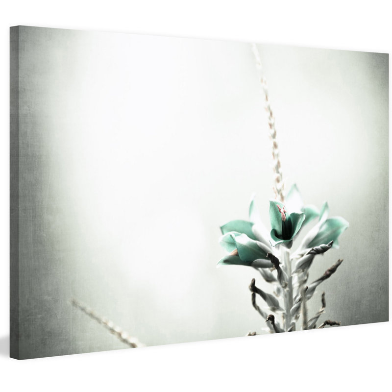 1 Piece Wrapped Canvas Wall Art, 61cm H x 91cm W x 3.81cm D