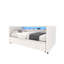 Upholstered Daybed with Trundle-736125231
