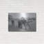  'Elephant Race Bw' by Max Blakesberg Studios Metal Wall Art, 36" x 24"-577974527