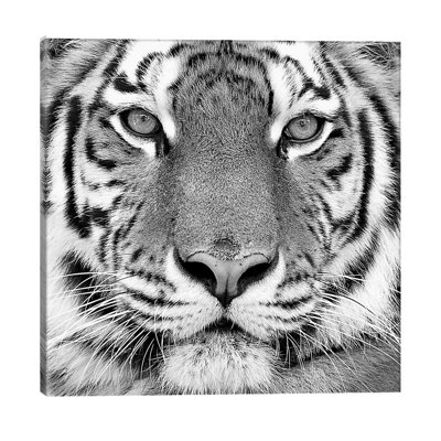 Tiger 1 Piece Wrapped Canvas Wall Art