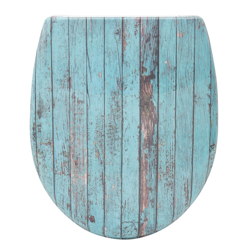 Dejoie Soft Close Elongated Standard Toilet Seat
