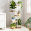 Support à plantes à 6 niveaux pour plantes d'intérieur, tablette d'angle pour pots multiples, support à plantes peu encombrant pour salon, balcon, patio et chambre à coucher-1520579963