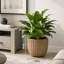 Pot à fleurs rond en polyrattan de 13 po avec cadre en acier SOLHome - panier décoratif d'extérieur avec insert noir