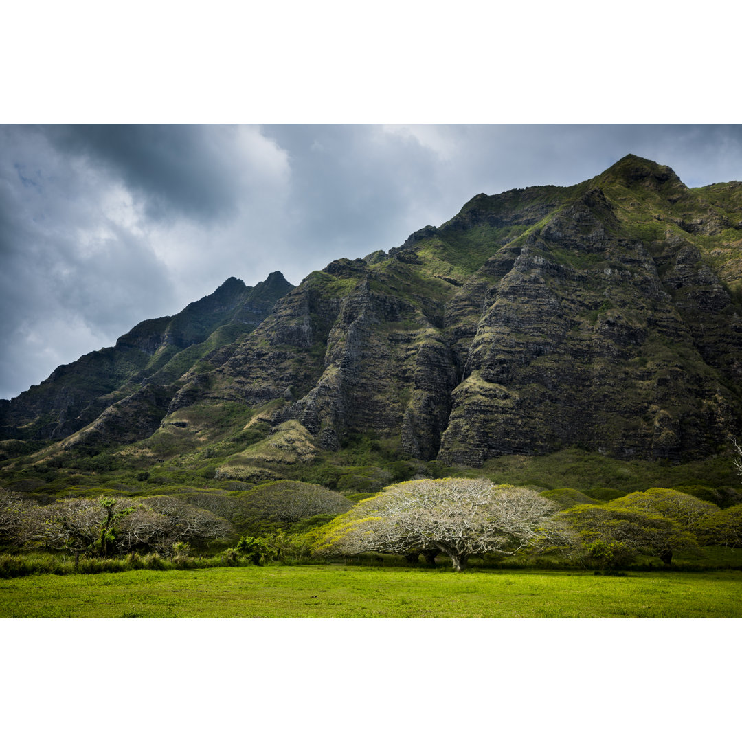 Kualoa Ranch in Oahu von VisualCommunications - Leinwanddrucke auf Leinwand